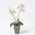Фото #8 товара Künstliche weiße Phalaenopsis-Orchidee