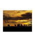 Aledanda Horses at Sunset Canvas Art - 20" x 25"