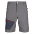 TRESPASS Daars Shorts