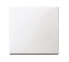 MERTEN 432125 - White - Thermoplastic