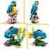 Playset Lego Creator 31136 Exotic parrot with frog and fish 3-in-1 253 Pieces