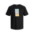 Фото #1 товара JACK & JONES Aruba Sunset Branding short sleeve T-shirt