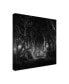 Фото #2 товара Saskia Dingemans The Dark Hedges Bewitched Canvas Art - 15" x 20"