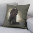 Cushion cover Harry Potter Hagrid 50 x 50 cm
