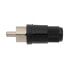 EUROCONNEX 1013E RCA Male Connector