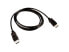 V7 2M Video Cable DisplayPort 1.4 M/M