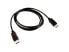 Фото #2 товара V7 2M Video Cable DisplayPort 1.4 M/M