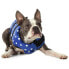 Фото #5 товара SEACHOICE Dog Life Vest