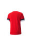 Фото #2 товара 704932 Teamrise Jersey T-shirt Dry-cell Erkek Tişört Kırmızı
