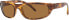 Ray-Ban Men's RB4033 Predator Rectangular Sunglasses