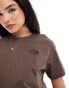 The North Face Redbox relaxed backprint t-shirt in brown