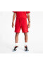 Фото #1 товара Шорты мужские Nike Jordan Brooklyn Fleece