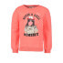 Фото #1 товара GARCIA T24661 sweatshirt