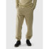 Фото #1 товара Trousers 4F M 4FWAW24TTROM0824-44S