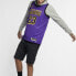 Фото #3 товара Nike NBA LeBron James 城市版球衣 SW球迷版 湖人 詹姆斯 23号 男款 紫色 / Кроссовки Nike LeBron James SW 23 AJ4618-510