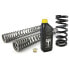 Фото #2 товара TOURATECH Black-T Stage 1 For FTR 1200 2019-2021 Springs