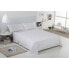 Top sheet Alexandra House Living White 220 x 280 cm