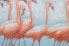 Acrylbild handgemalt Flamingoclique