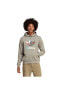 Фото #1 товара Alfe Ts Hoodıe Erkek Sweatshirt Ic5730