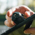 Фото #8 товара PolarPro iPhone 11 Pro - Grip. LiteChaser Pro - Holder - Black - 1/4" - iPhone 11 Pro LiteChaser Pro Case