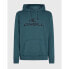 O´NEILL Logo hoodie