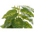 Фото #4 товара Декоративное растение DKD Home Decor PVC полипропилен 20 x 20 x 30 cm