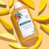 Фото #2 товара Klorane Nourishing Shampoo With Mango Питательный шампунь с маслом манго для сухих волос 400 мл