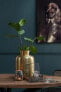 Фото #3 товара Аксессуары для цветов J-LINE Горшок Vase Ringe