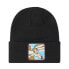 Фото #1 товара CAPSLAB Zzz Bon2 Coy1 beanie