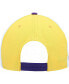 Фото #4 товара Men's Purple Los Angeles Lakers Pop Panels 9FIFTY Snapback Hat
