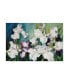 Фото #1 товара Joanne Porter 'Plum And White Iris' Canvas Art - 30" x 47"