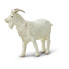 SAFARI LTD Billy Goat Figure