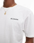 Фото #1 товара Columbia North Cascades t-shirt in white