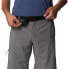 Фото #5 товара COLUMBIA Silver Ridge™ Utility Shorts