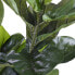 Фото #4 товара Kunstpflanze Ficus Lyrata