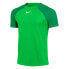 Фото #1 товара Футболка Nike Drifit Adacemy Pro