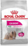 Фото #1 товара Сухой корм Royal Canin Mini Exigent для взрослых собак малых пород, 1 кг