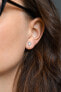 Silver earrings with shimmering zircon AGUP1714S