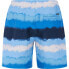 PROTEST Hamsey swimming shorts