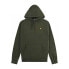 Фото #1 товара LYLE & SCOTT Brushback hoodie