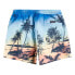 Фото #4 товара QUIKSILVER Everyday Paradise Volley 15´´ Swimming Shorts