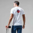 ფოტო #6 პროდუქტის BERGHAUS Snowdon Colour Logo short sleeve T-shirt