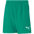 Фото #1 товара Puma teamRISE Short Jr 704943 05