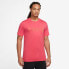 Фото #1 товара Nike PSG Jordan M DV0634 648 T-shirt