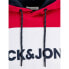Фото #5 товара JACK & JONES Logo Blocking hoodie