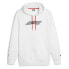 Фото #1 товара Puma F1 Logo Graphic Pullover Hoodie Mens White Casual Outerwear 62569302