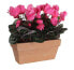 Фото #2 товара Искусственные цветы MICA Decorations Cyclamen розовый