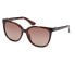 Dark Havana / Brown Polarized