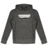 Фото #1 товара LEVI´S ® KIDS Batwing Fill hoodie