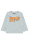 Фото #1 товара Толстовка для мальчиков Civil Boys модель Sweatshirt 2-5 лет_Oранжевый